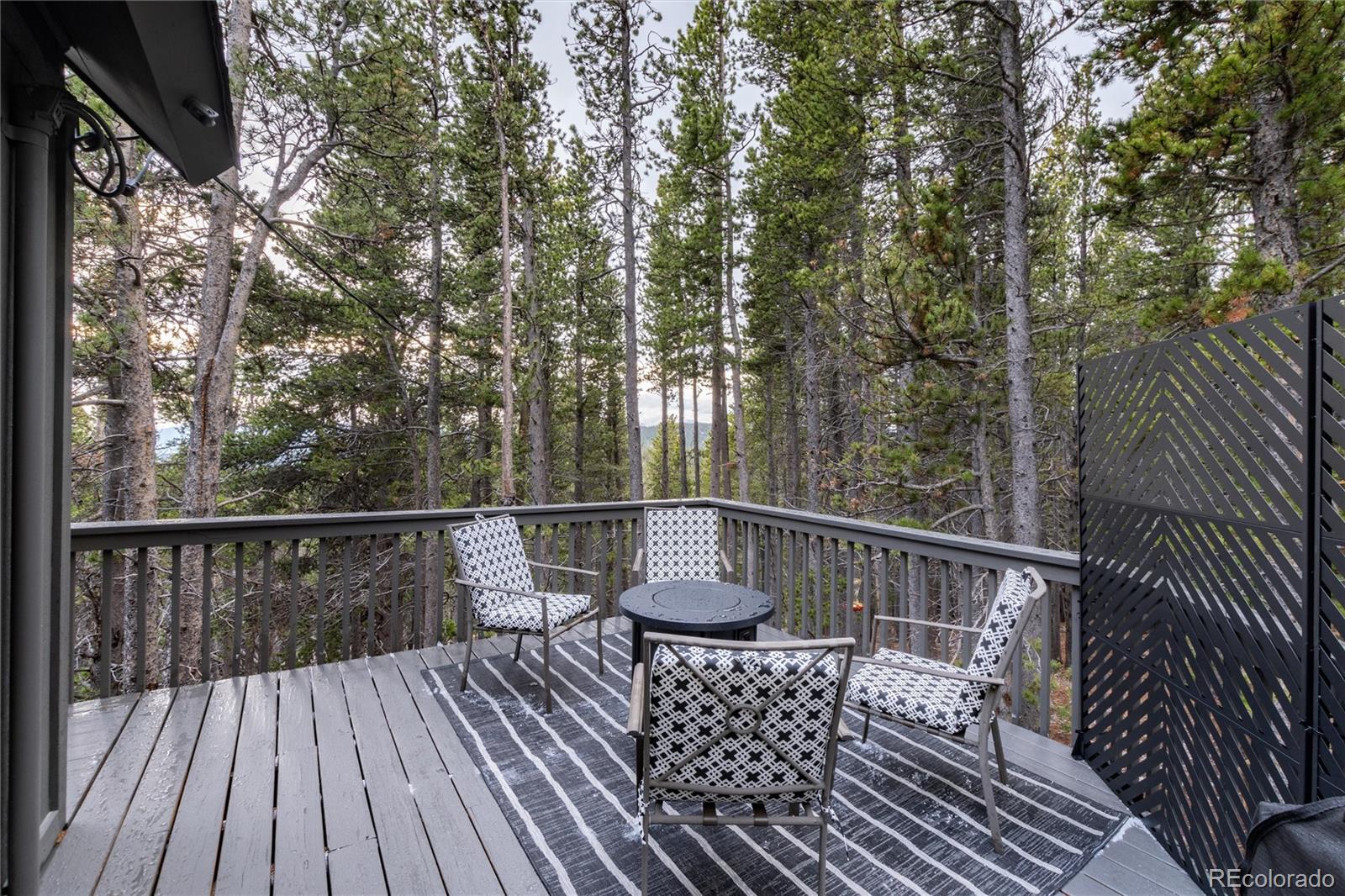 MLS Image #23 for 236  harris drive,idaho springs, Colorado