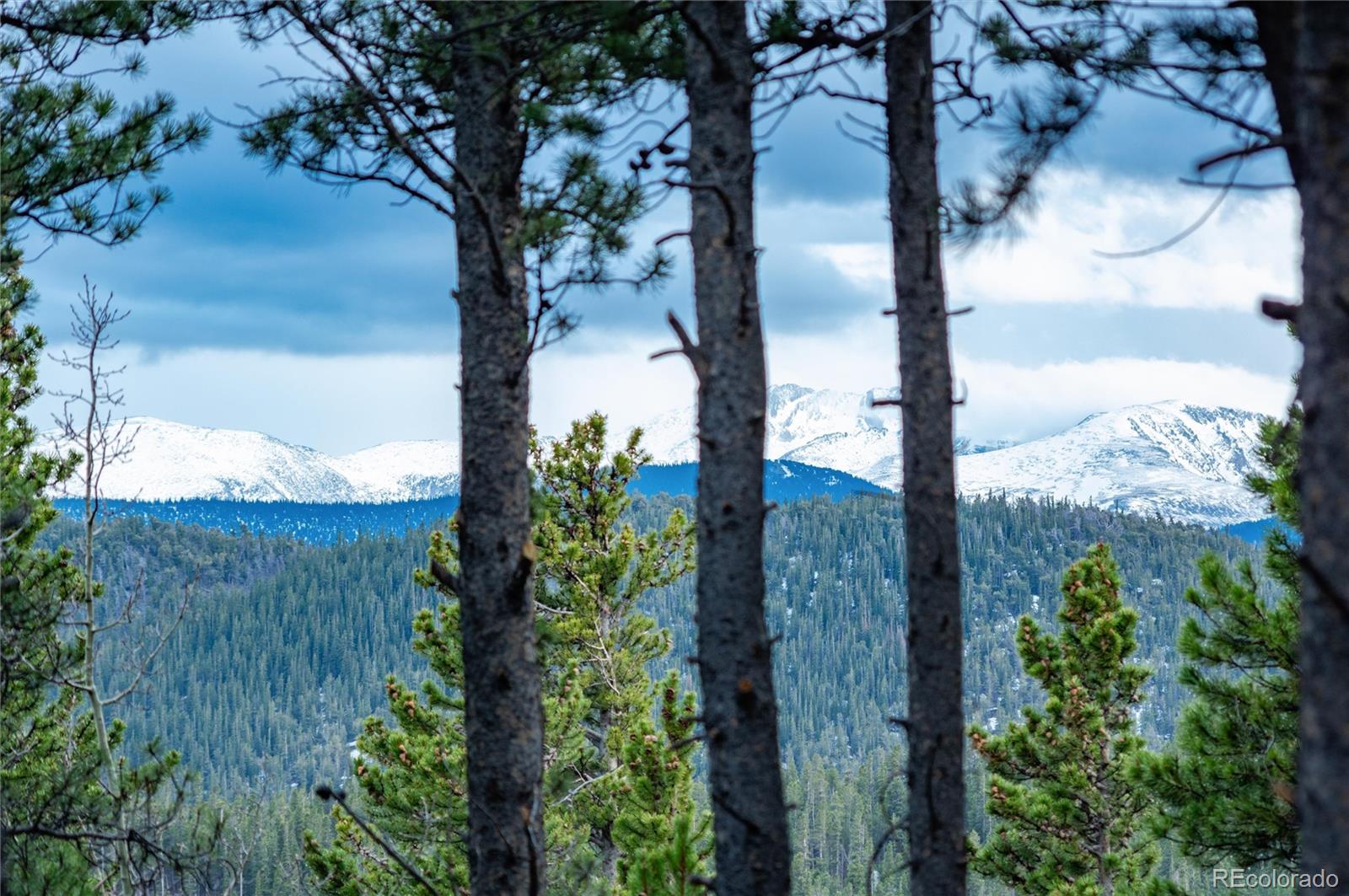 MLS Image #24 for 236  harris drive,idaho springs, Colorado