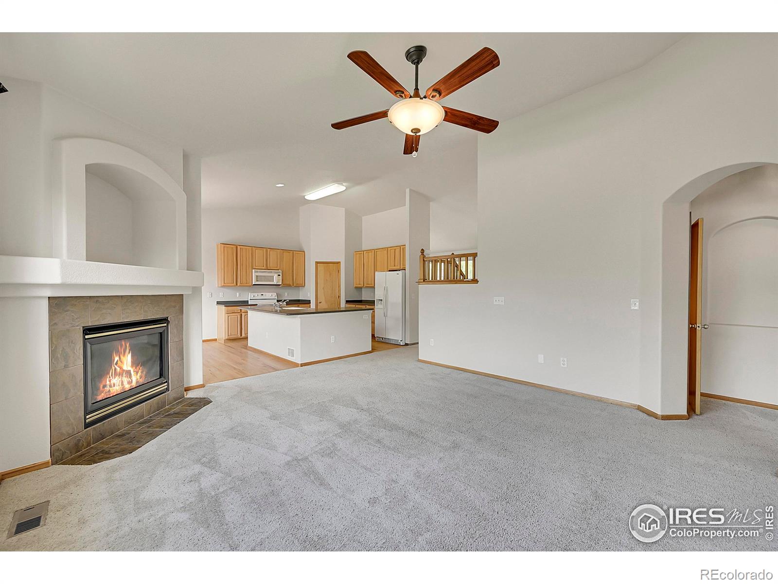 MLS Image #14 for 1824  ute creek drive,longmont, Colorado