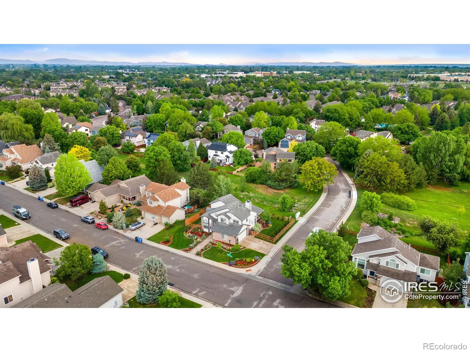 CMA Image for 2238  Sweetwater Creek Drive,Fort Collins, Colorado