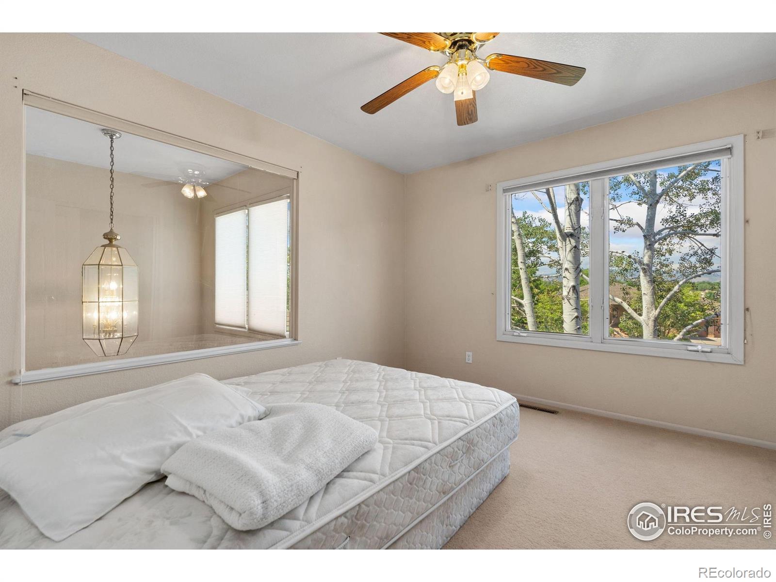 MLS Image #28 for 6536  southridge greens boulevard,fort collins, Colorado
