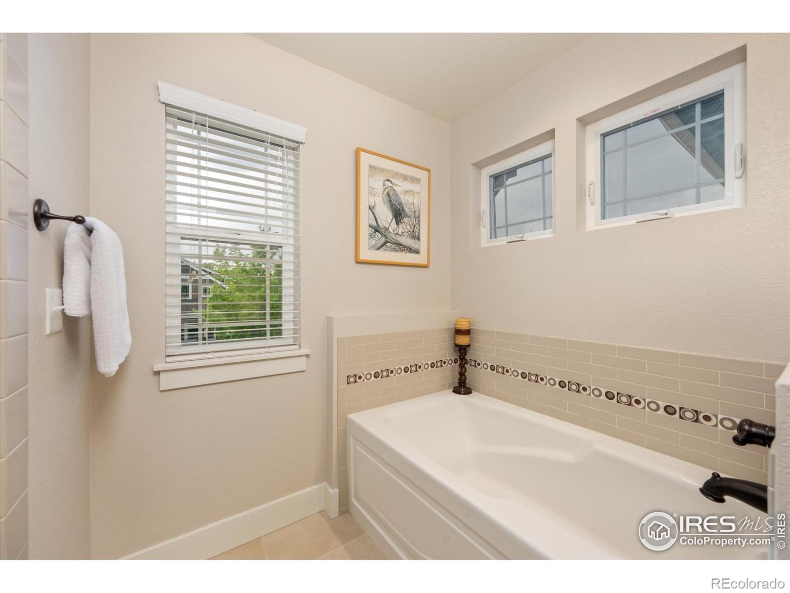 MLS Image #20 for 2214  sandbur drive,fort collins, Colorado