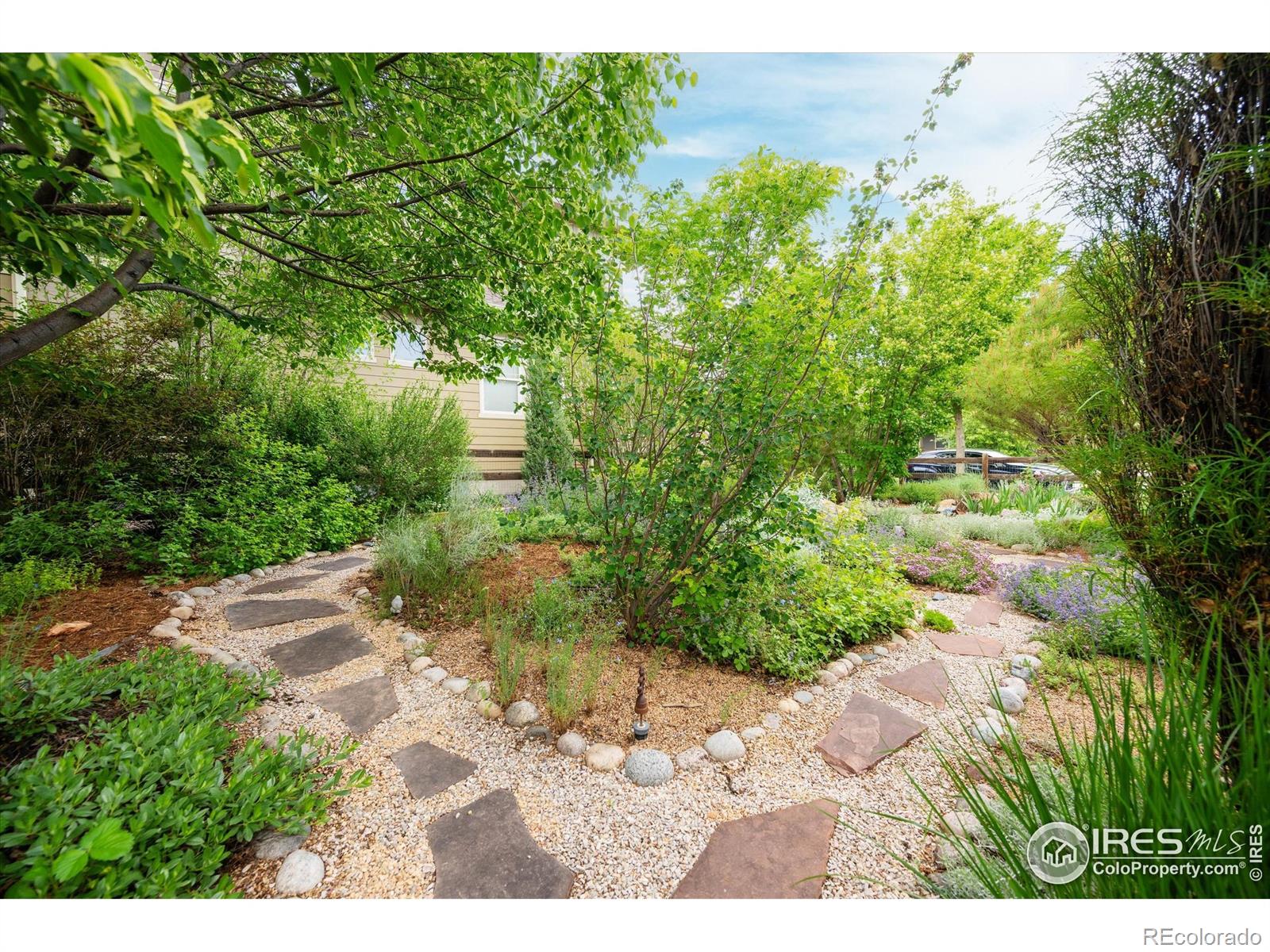 MLS Image #24 for 2214  sandbur drive,fort collins, Colorado