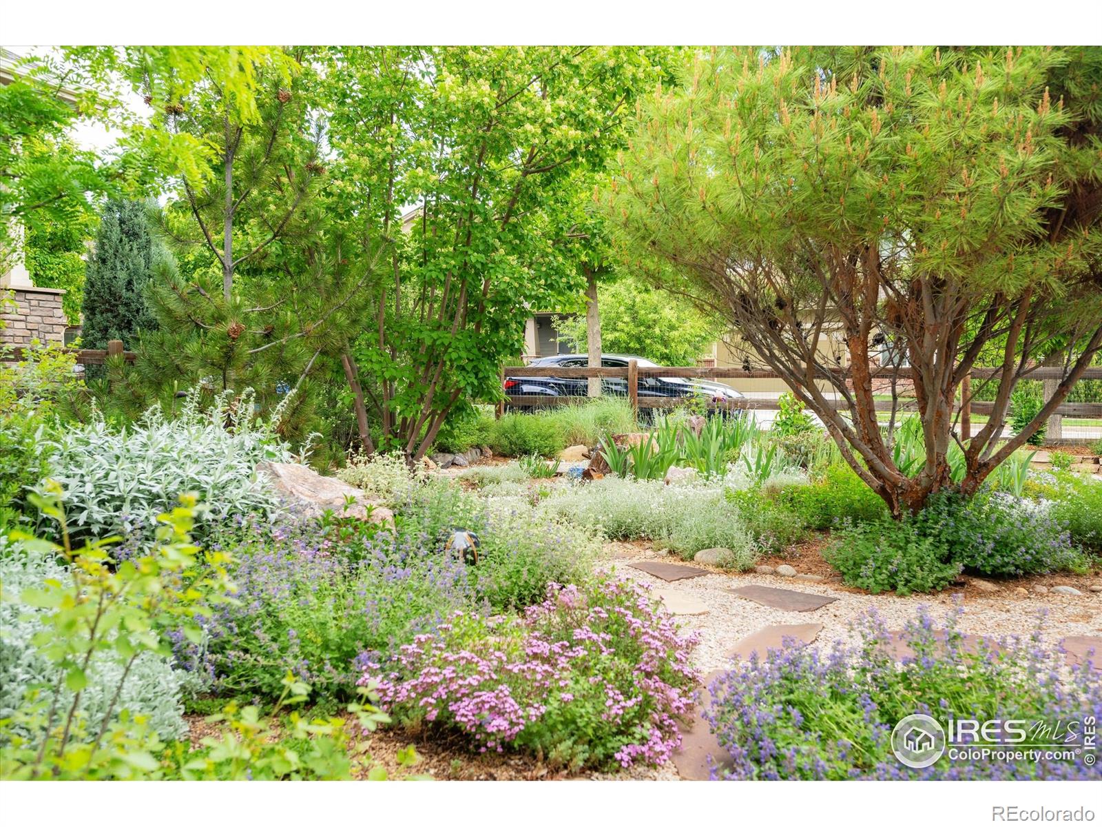 MLS Image #27 for 2214  sandbur drive,fort collins, Colorado