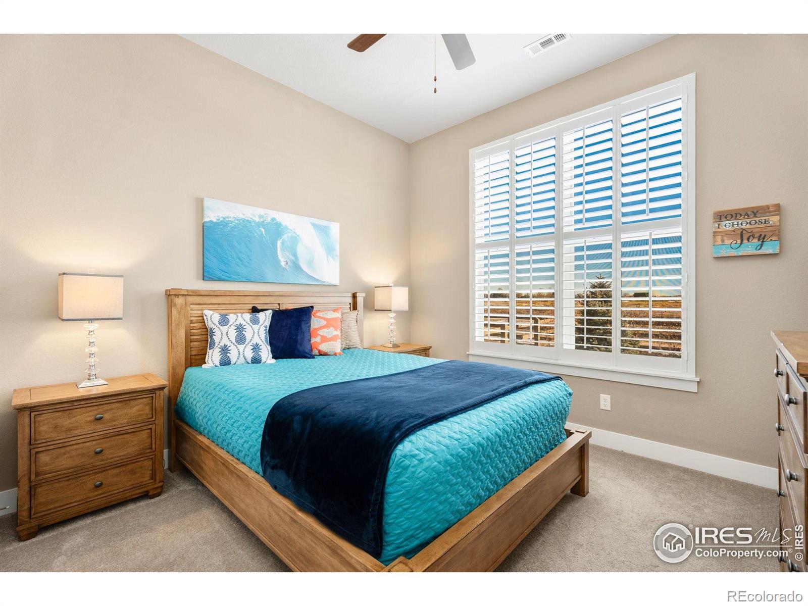 MLS Image #14 for 1030  larimer ridge parkway,timnath, Colorado