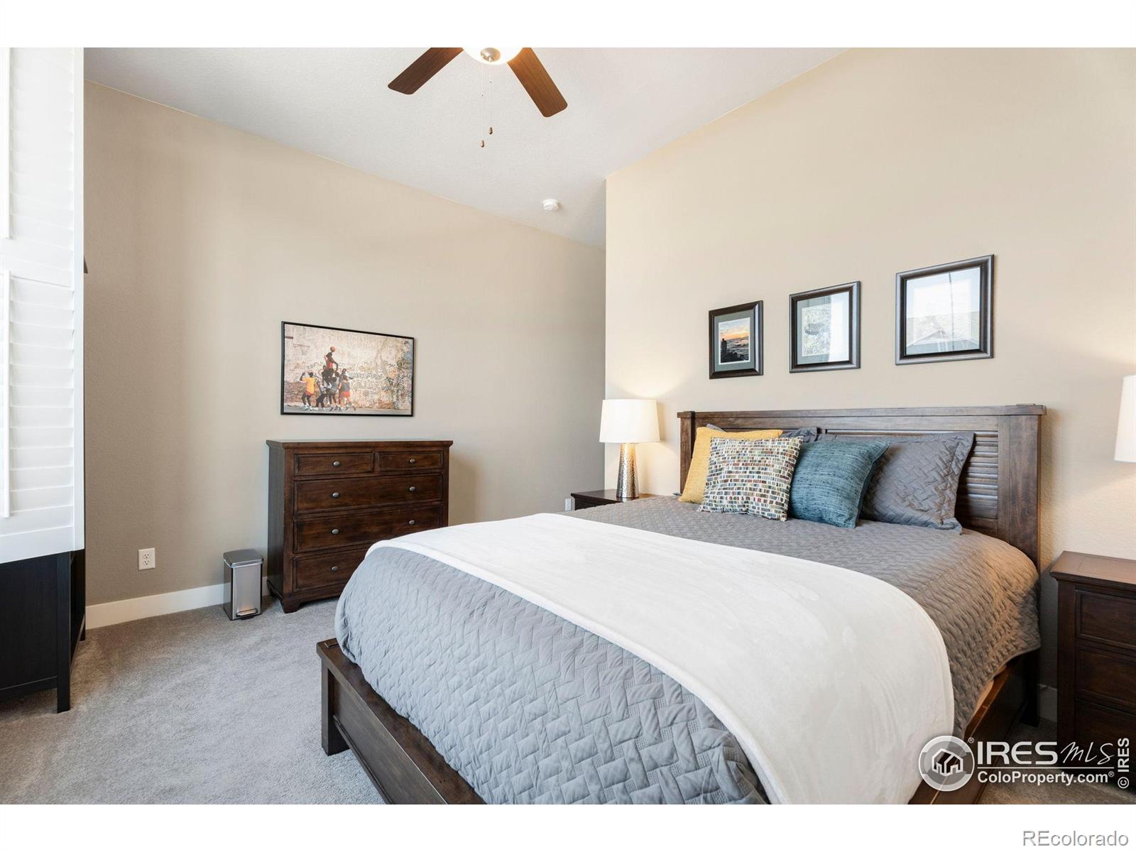 MLS Image #20 for 1030  larimer ridge parkway,timnath, Colorado