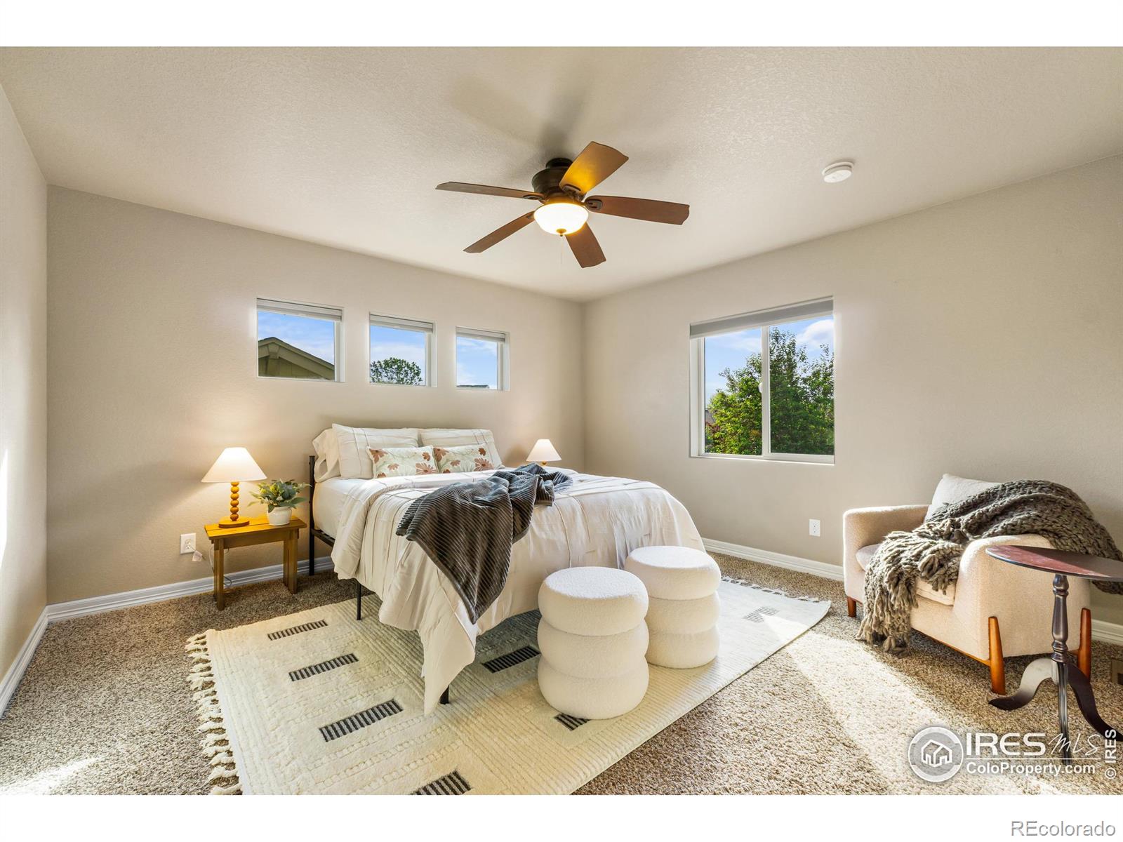 MLS Image #15 for 3379  janus drive,loveland, Colorado