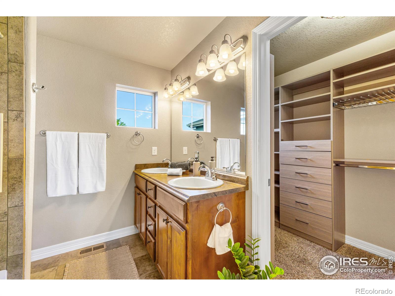 MLS Image #18 for 3379  janus drive,loveland, Colorado