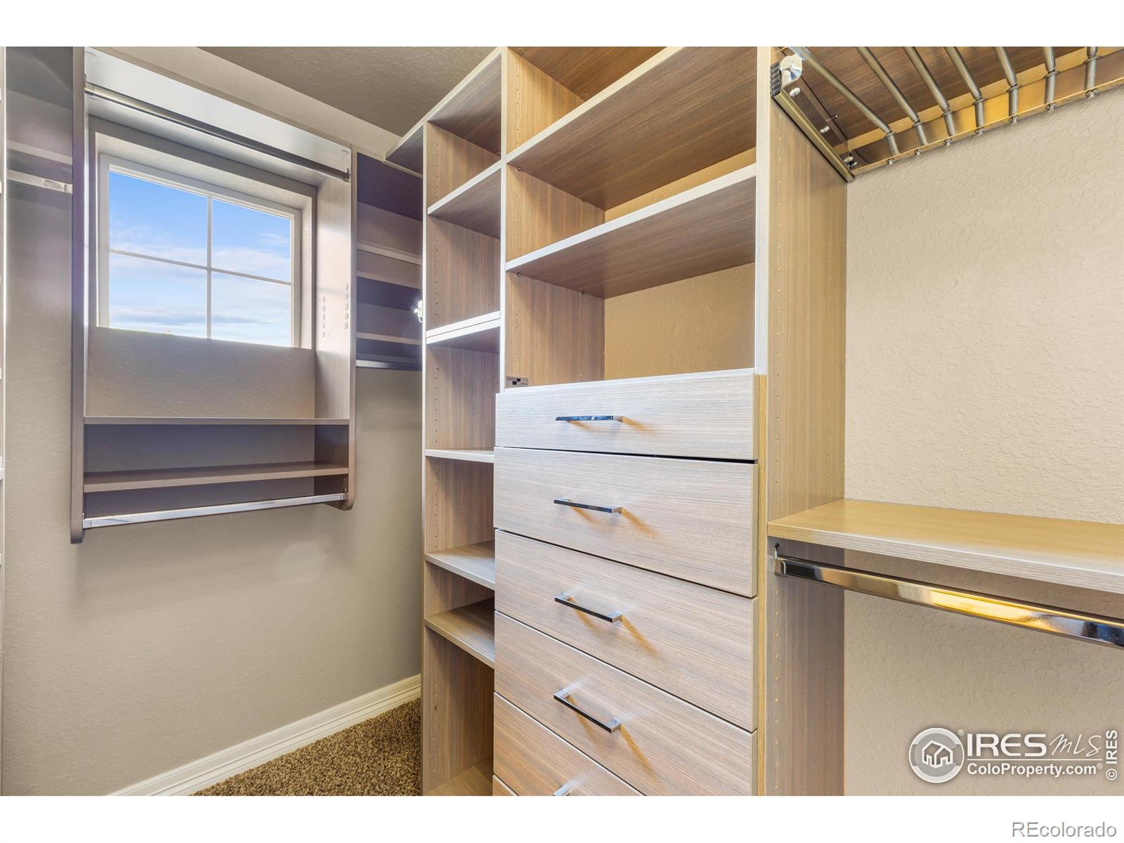 MLS Image #19 for 3379  janus drive,loveland, Colorado