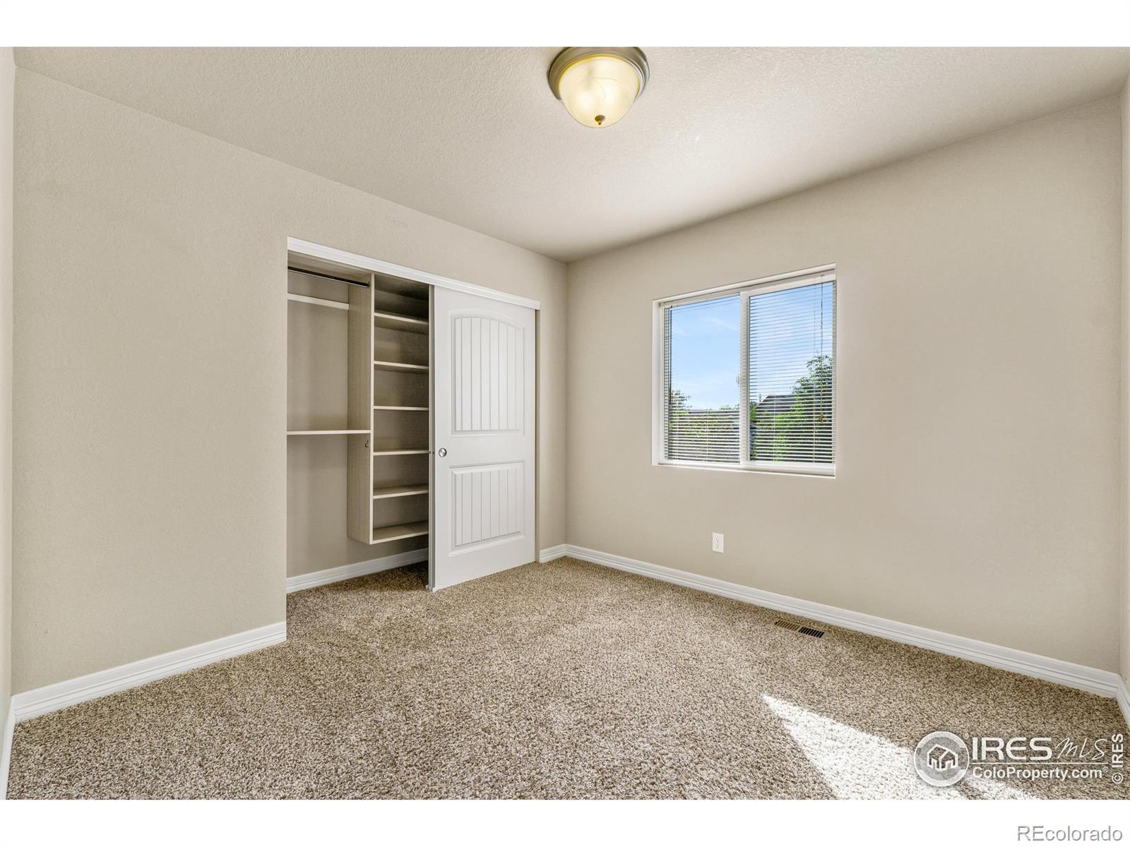 MLS Image #23 for 3379  janus drive,loveland, Colorado