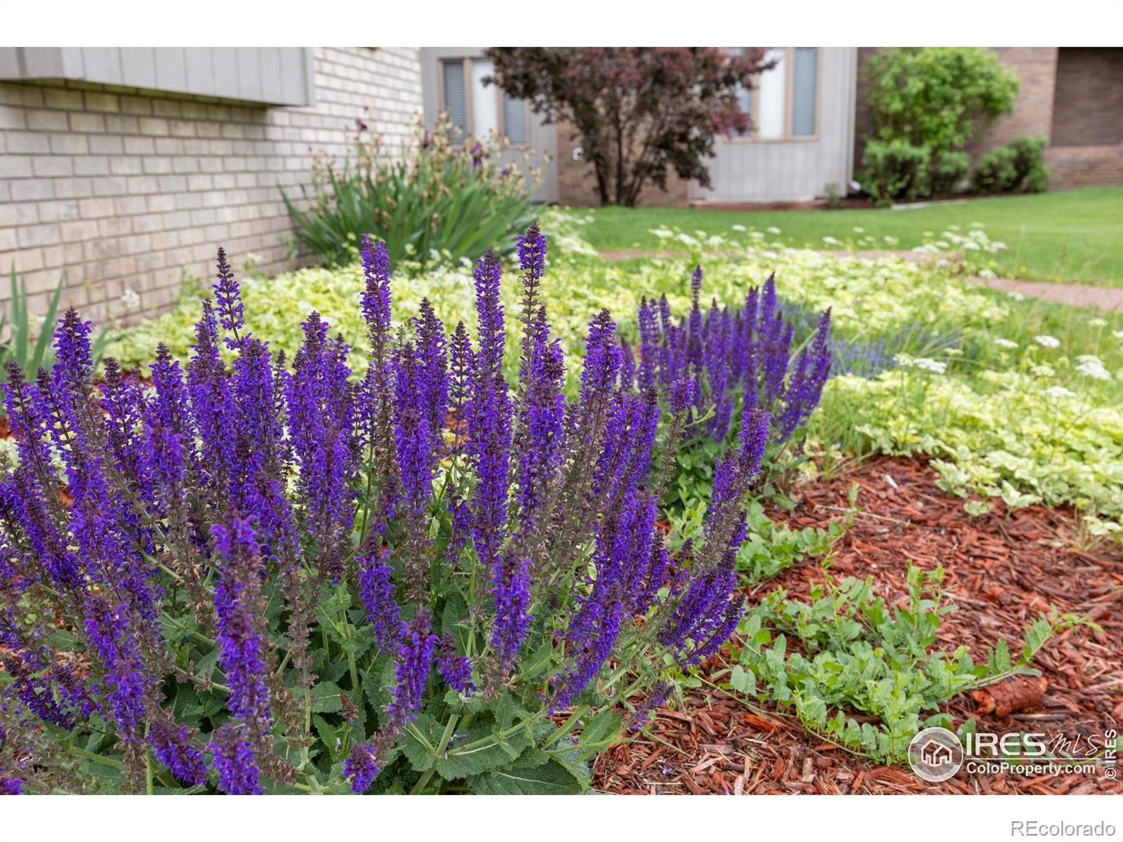 MLS Image #29 for 1357  43rd avenue,greeley, Colorado