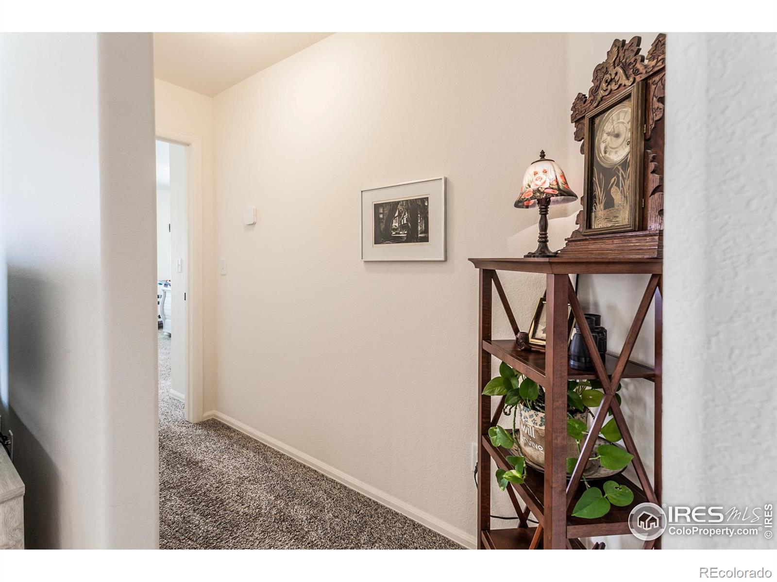 MLS Image #18 for 944  maplebrook drive,windsor, Colorado