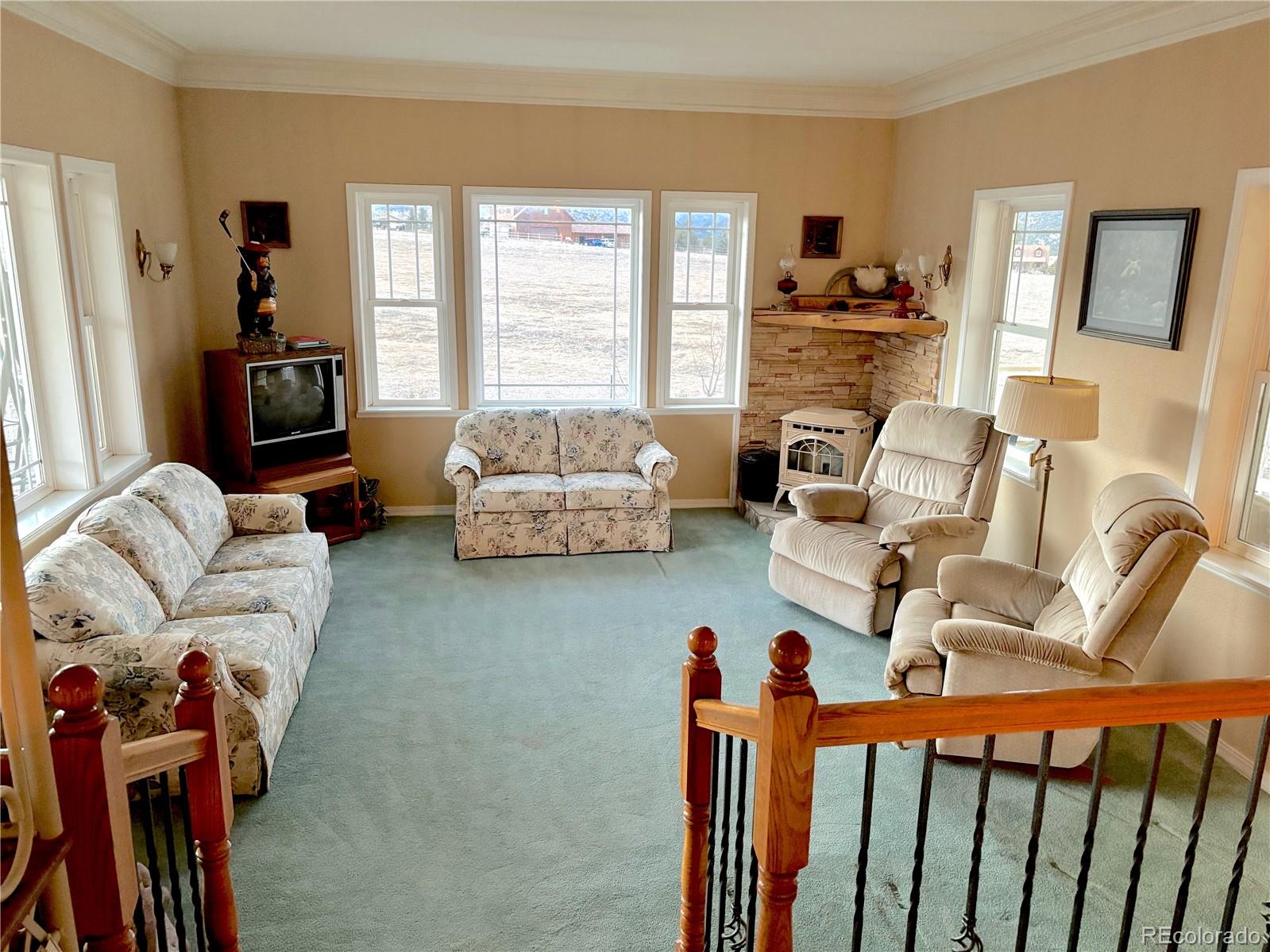 MLS Image #13 for 242 e blarney stone road,howard, Colorado