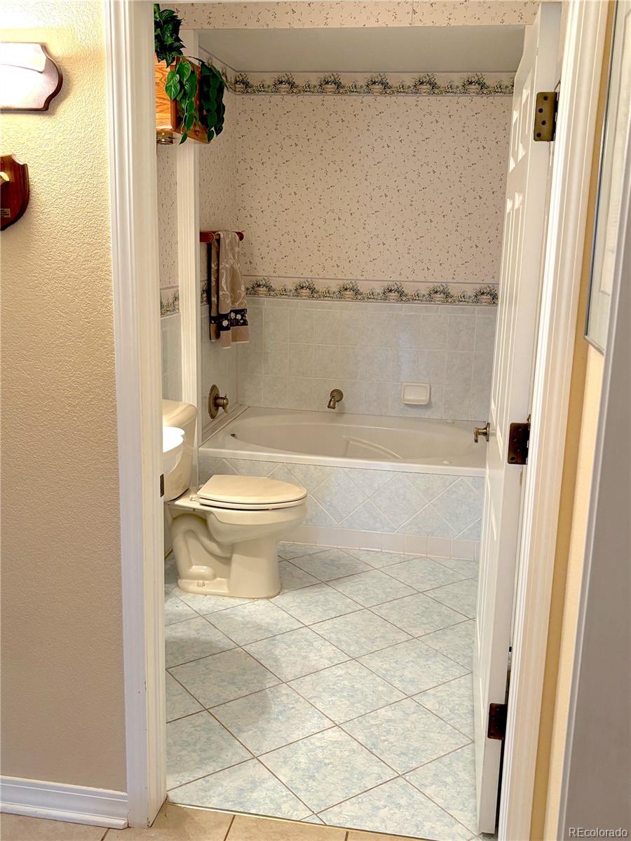MLS Image #17 for 242 e blarney stone road,howard, Colorado