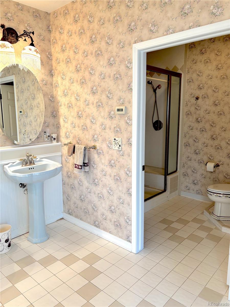MLS Image #21 for 242 e blarney stone road,howard, Colorado