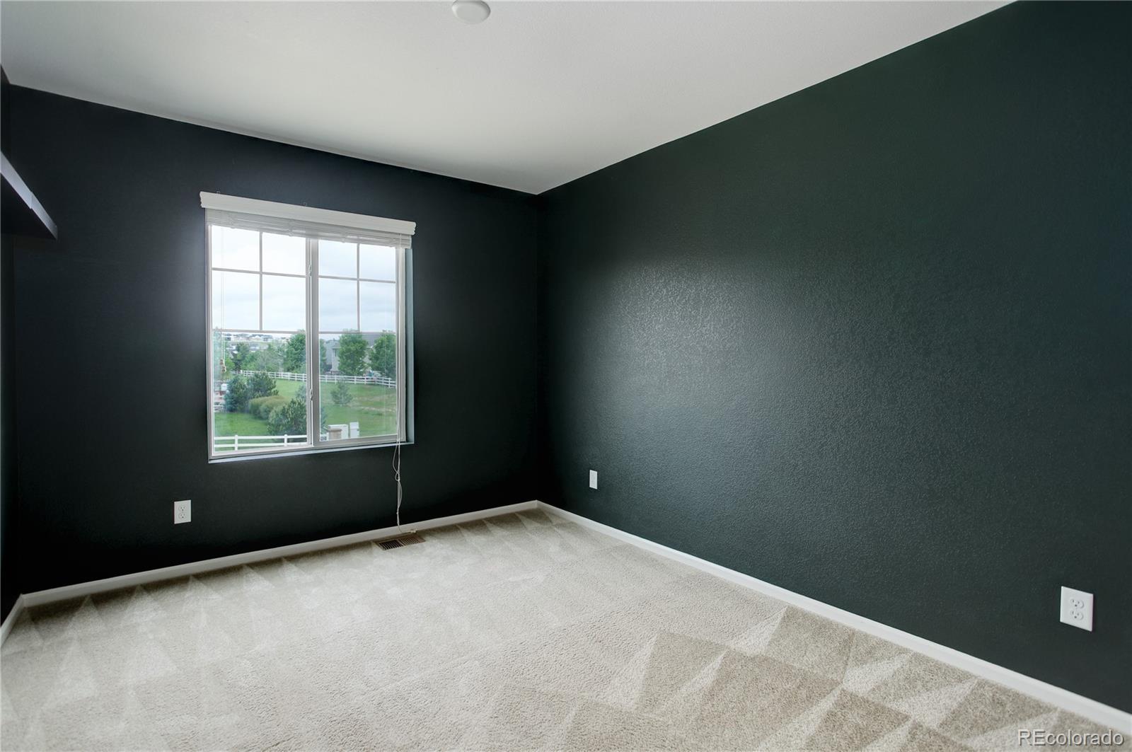 MLS Image #25 for 5546  echo hollow street,castle rock, Colorado
