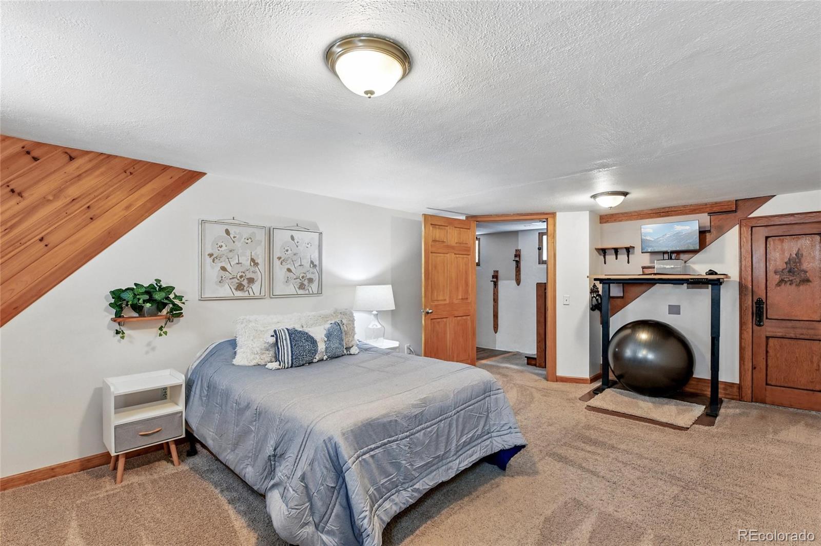 MLS Image #28 for 3611 n vine street,denver, Colorado