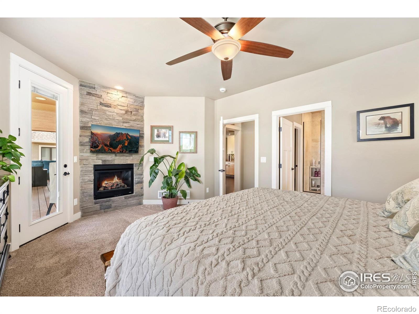 MLS Image #12 for 347  meadowsweet circle,loveland, Colorado