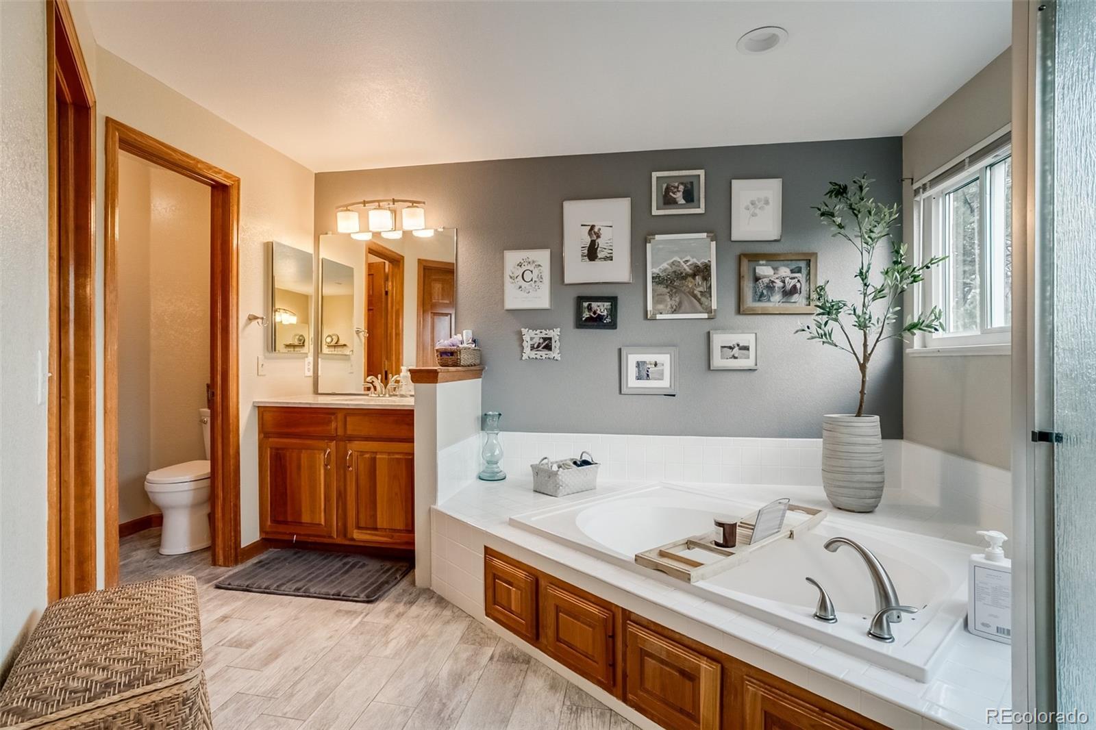 MLS Image #25 for 8927  green meadows lane,highlands ranch, Colorado