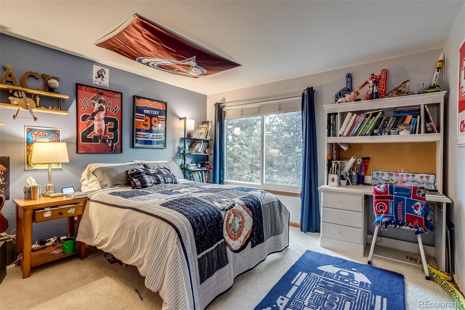 MLS Image #27 for 8927  green meadows lane,highlands ranch, Colorado