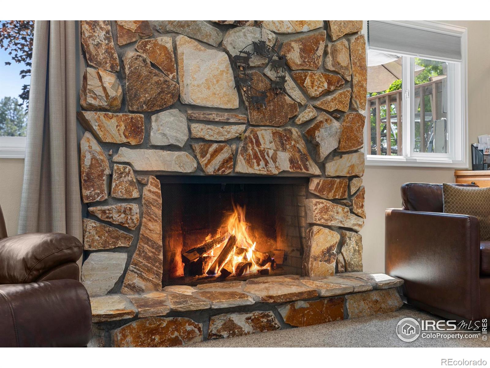 MLS Image #18 for 3804  amy place,loveland, Colorado