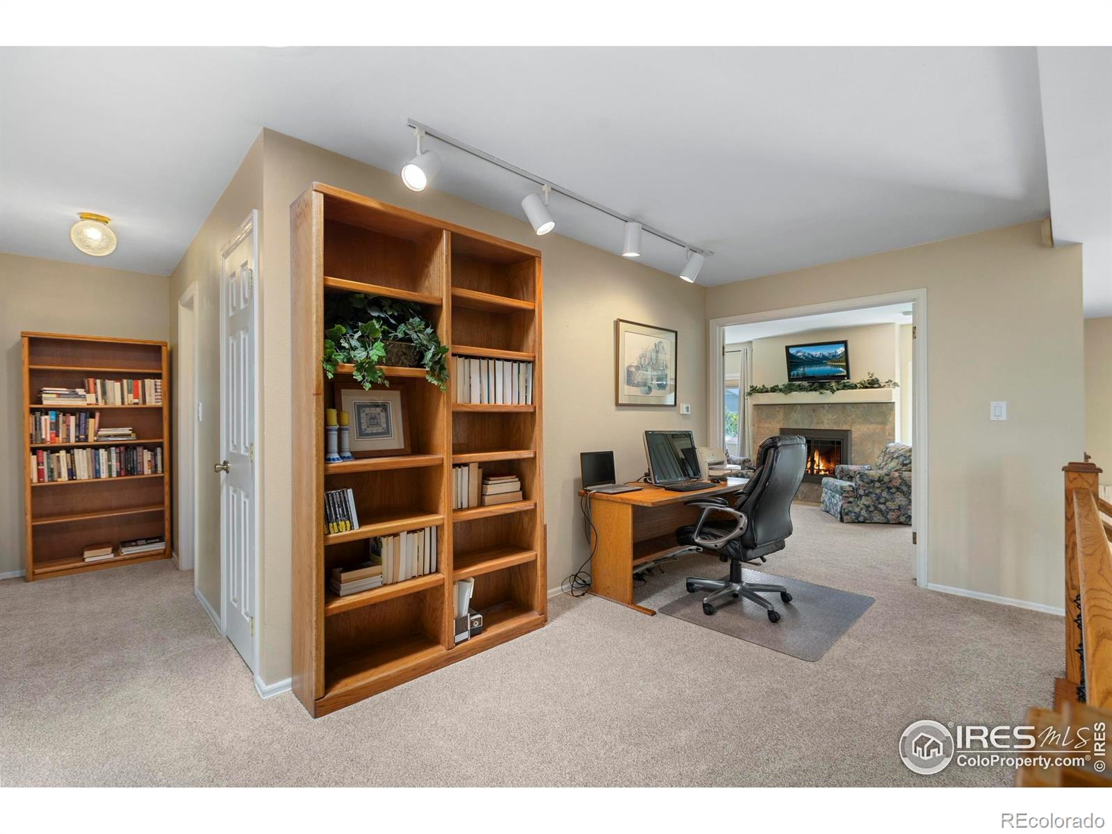 MLS Image #21 for 3804  amy place,loveland, Colorado