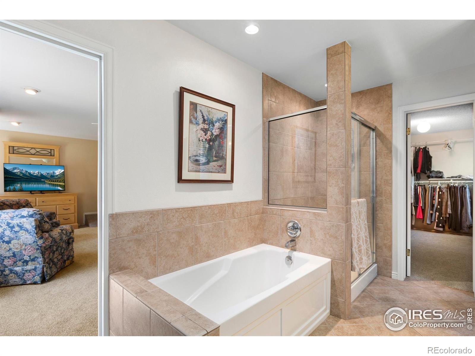 MLS Image #26 for 3804  amy place,loveland, Colorado