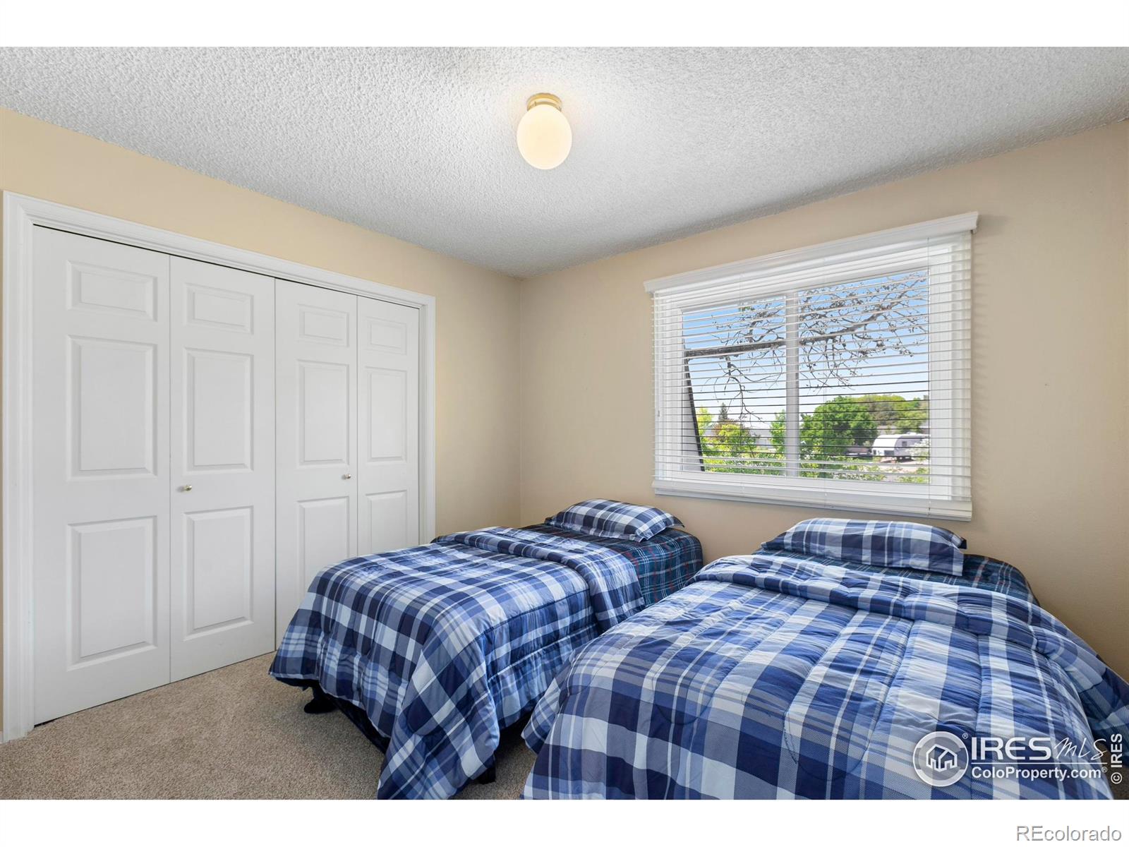 MLS Image #30 for 3804  amy place,loveland, Colorado