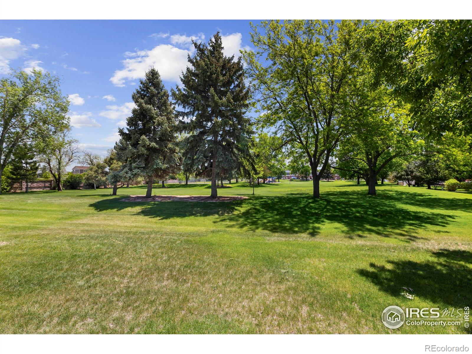 MLS Image #35 for 3804  amy place,loveland, Colorado