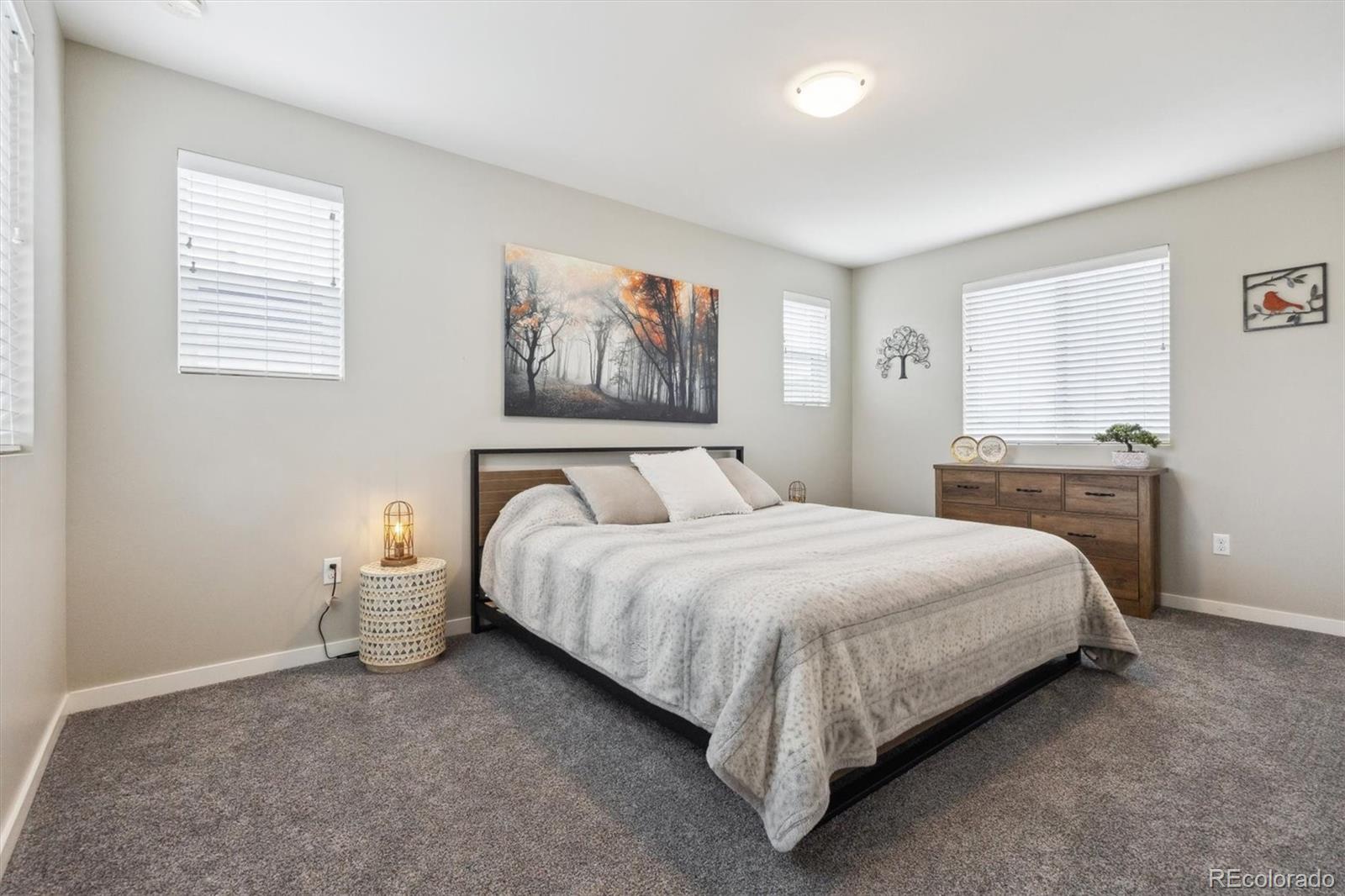 MLS Image #21 for 9682  dunning circle,highlands ranch, Colorado