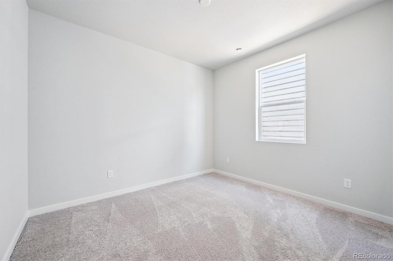 MLS Image #12 for 2161  flower blossom avenue,brighton, Colorado