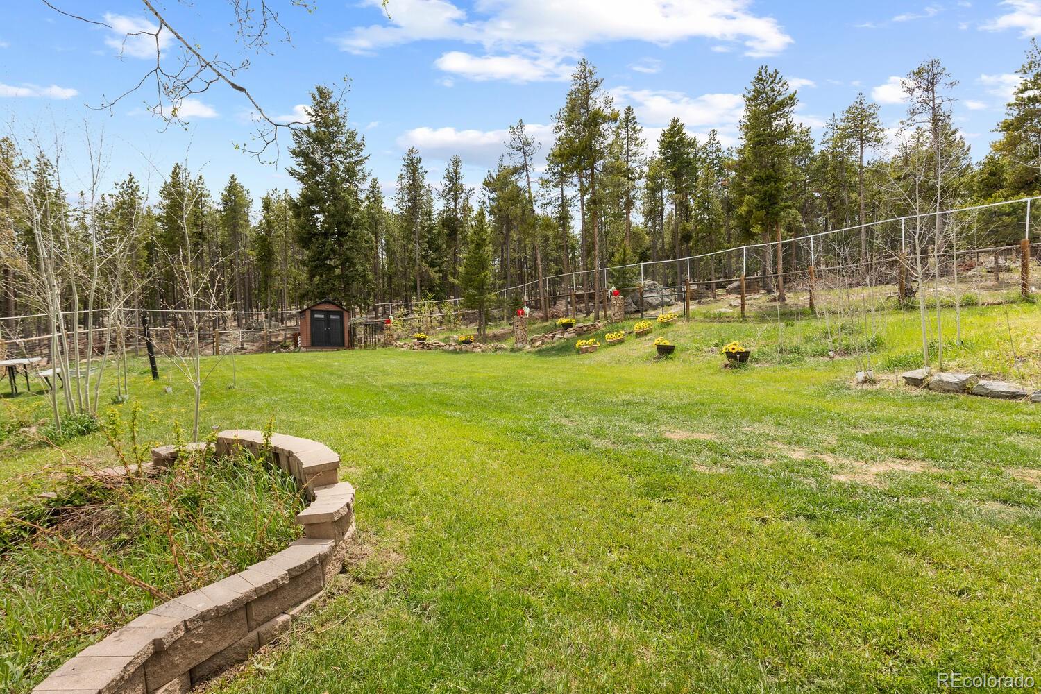MLS Image #34 for 8600 s warhawk road,conifer, Colorado