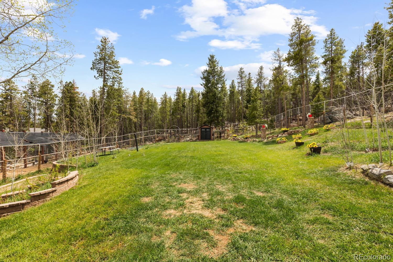MLS Image #4 for 8600 s warhawk road,conifer, Colorado