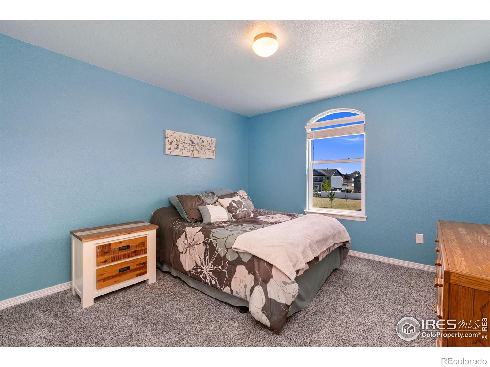 MLS Image #13 for 5664  osbourne drive,windsor, Colorado