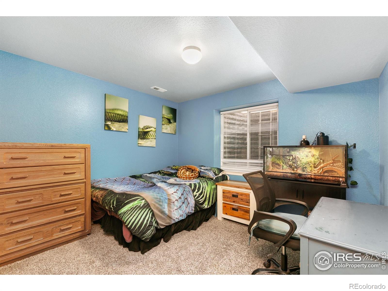 MLS Image #23 for 5664  osbourne drive,windsor, Colorado