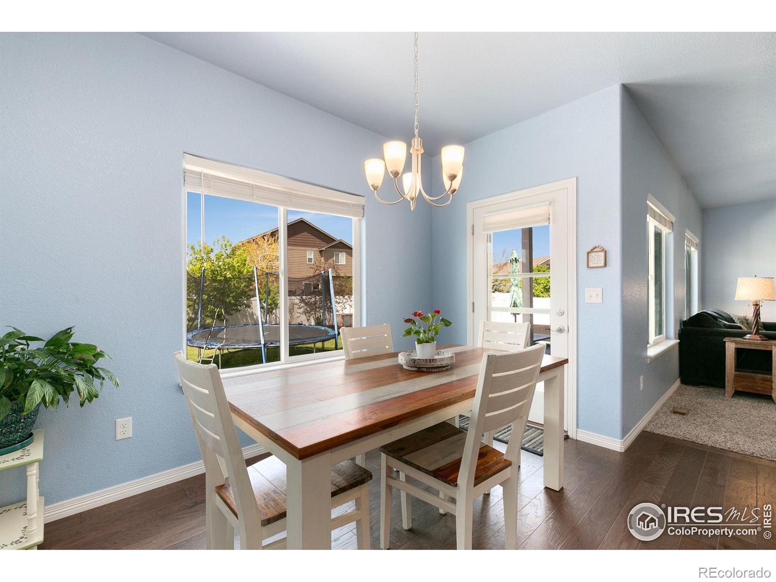MLS Image #8 for 5664  osbourne drive,windsor, Colorado
