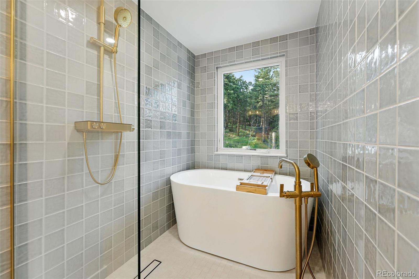 MLS Image #6 for 31  wild tiger lane,boulder, Colorado