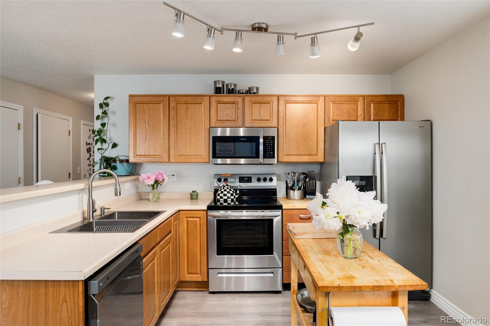 MLS Image #12 for 8129  locust drive,littleton, Colorado
