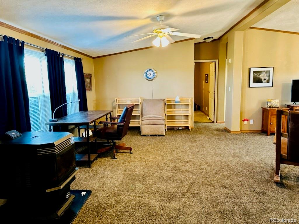 MLS Image #10 for 10497  lane 1 ,mosca, Colorado