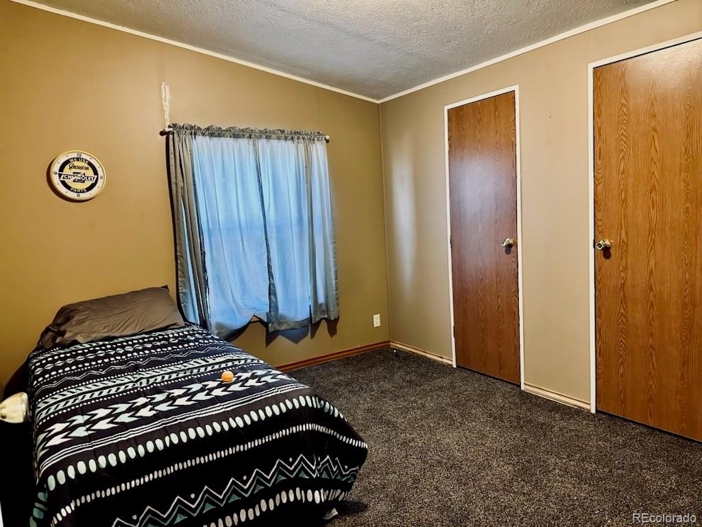 MLS Image #22 for 10497  lane 1 ,mosca, Colorado
