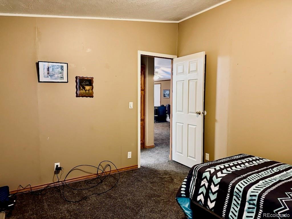 MLS Image #23 for 10497  lane 1 ,mosca, Colorado