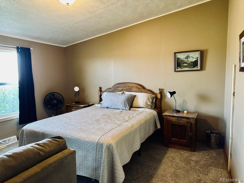 MLS Image #24 for 10497  lane 1 ,mosca, Colorado