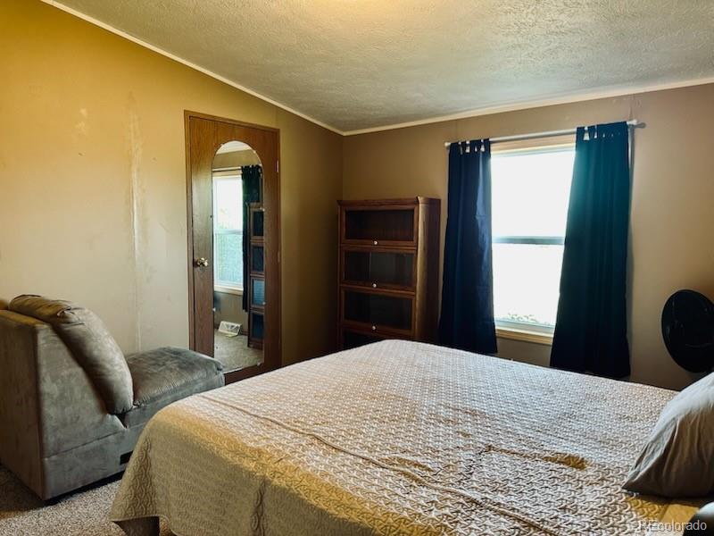 MLS Image #25 for 10497  lane 1 ,mosca, Colorado