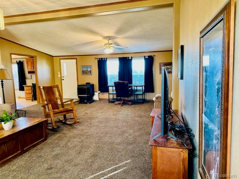 MLS Image #8 for 10497  lane 1 ,mosca, Colorado