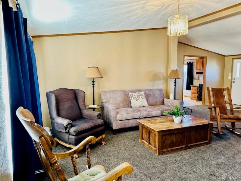 MLS Image #9 for 10497  lane 1 ,mosca, Colorado