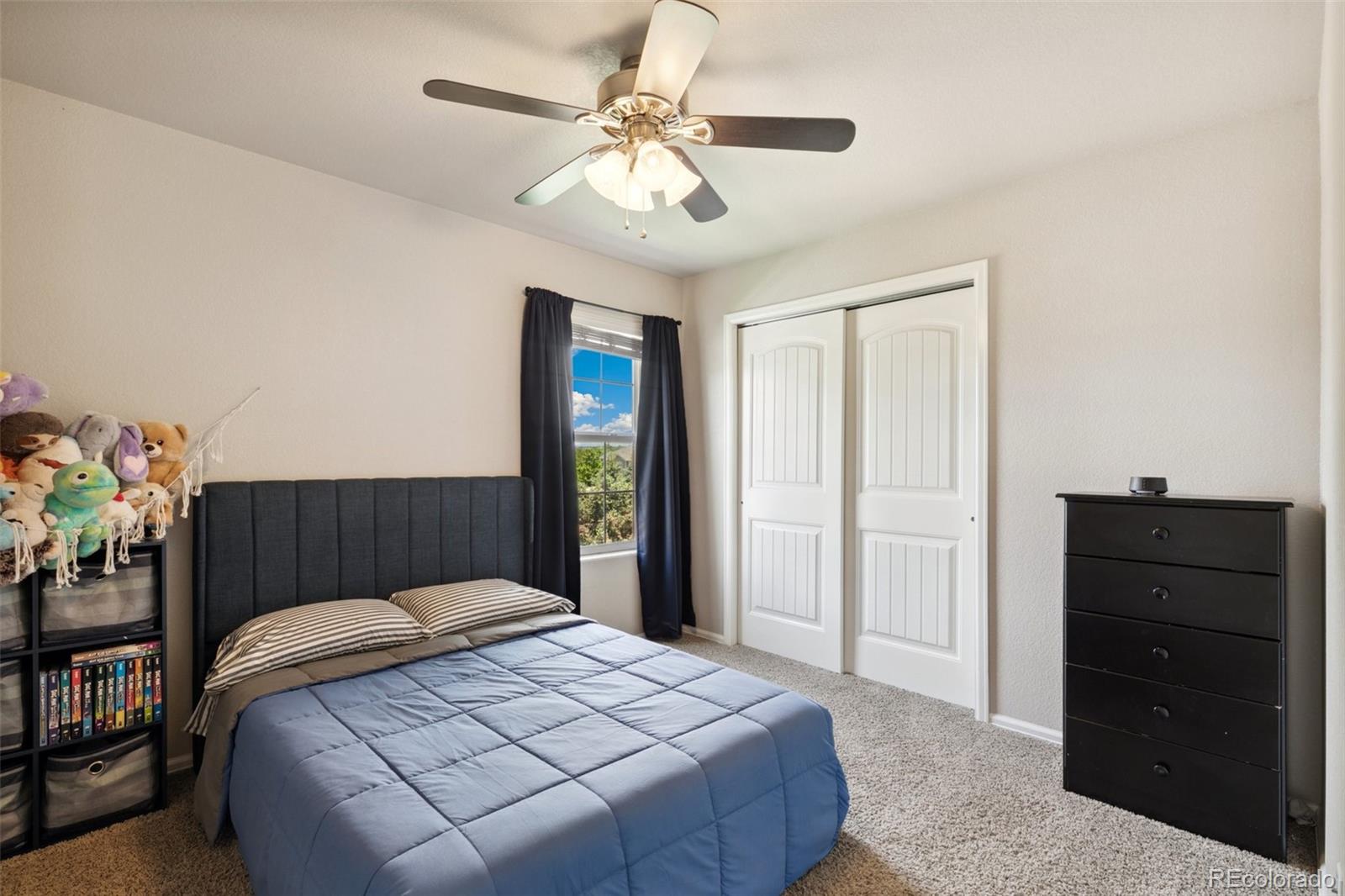 MLS Image #24 for 5302  canadian rose view,colorado springs, Colorado