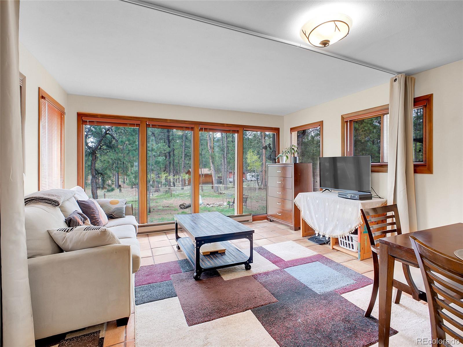 MLS Image #11 for 194  tincup terrace,bailey, Colorado