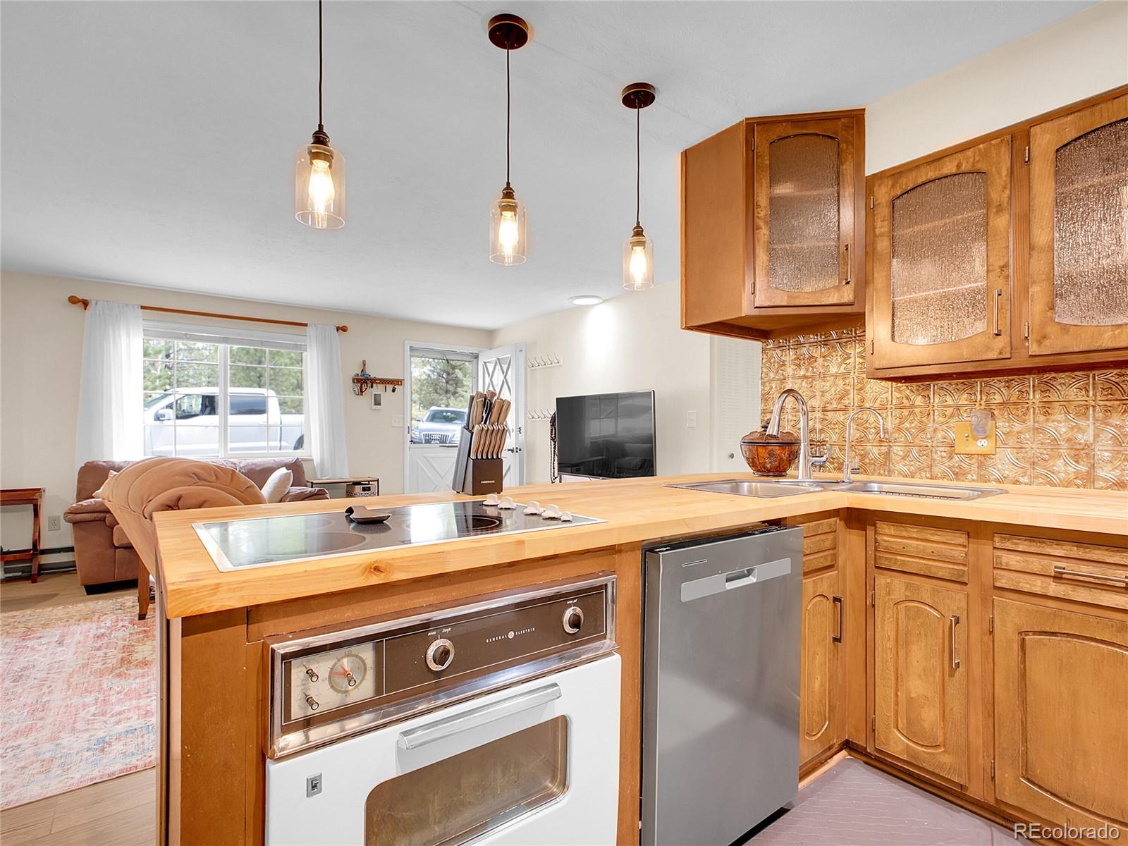 MLS Image #24 for 194  tincup terrace,bailey, Colorado