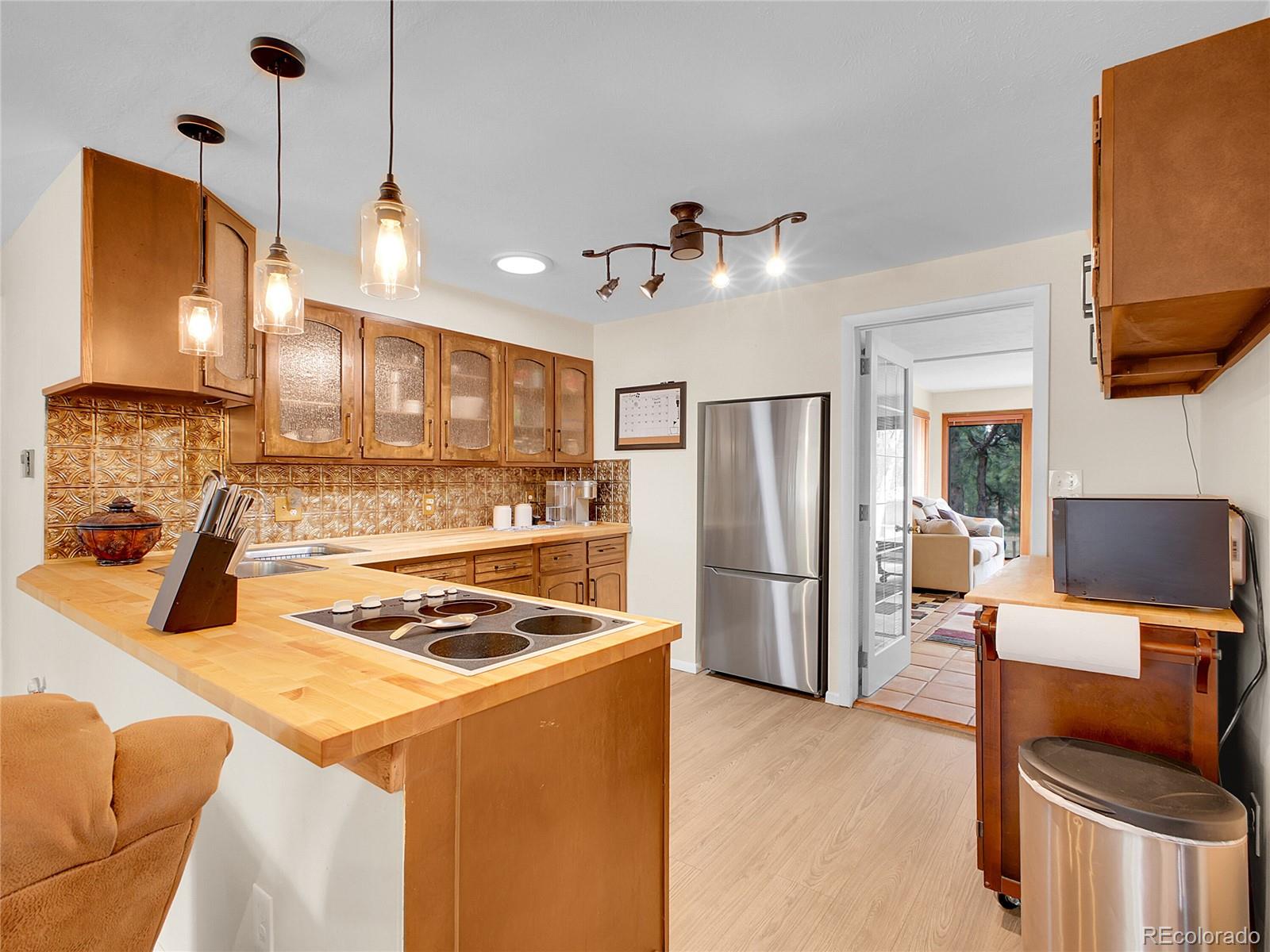 MLS Image #5 for 194  tincup terrace,bailey, Colorado