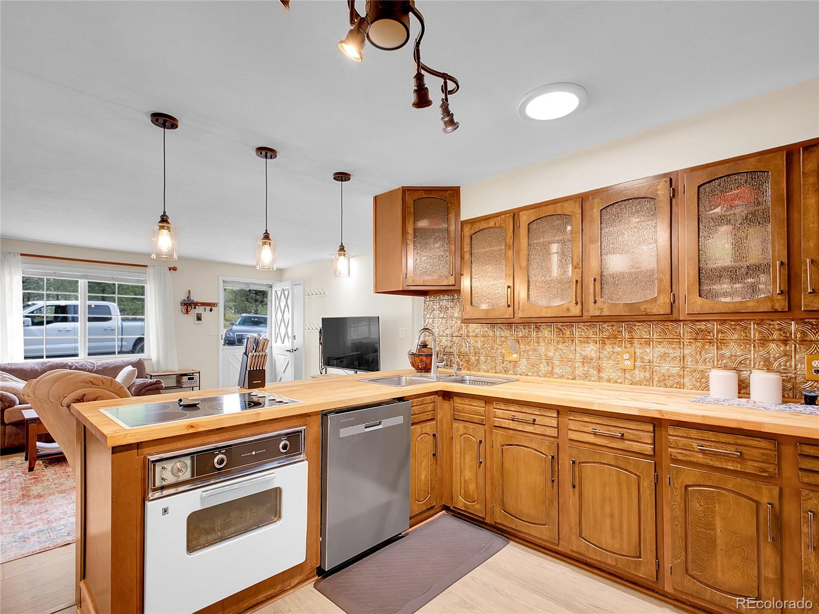 MLS Image #6 for 194  tincup terrace,bailey, Colorado